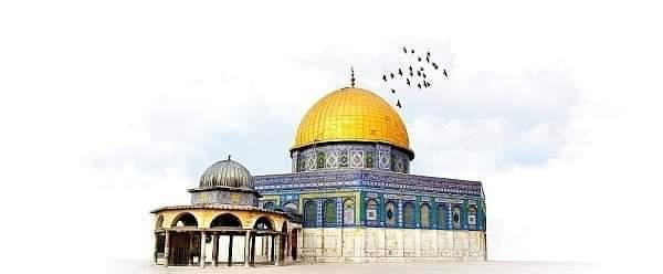 LebaneseYouthFoundation